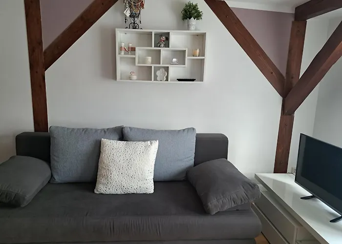 Am Weissgerbermuseum شقة *